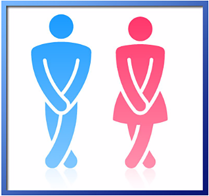 Urinary Incontinence Menopause, Bladder Leakage